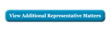 View additional representative appellate matters