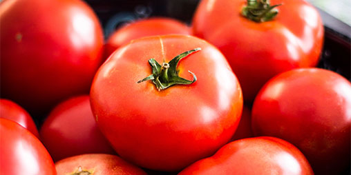 Tomato