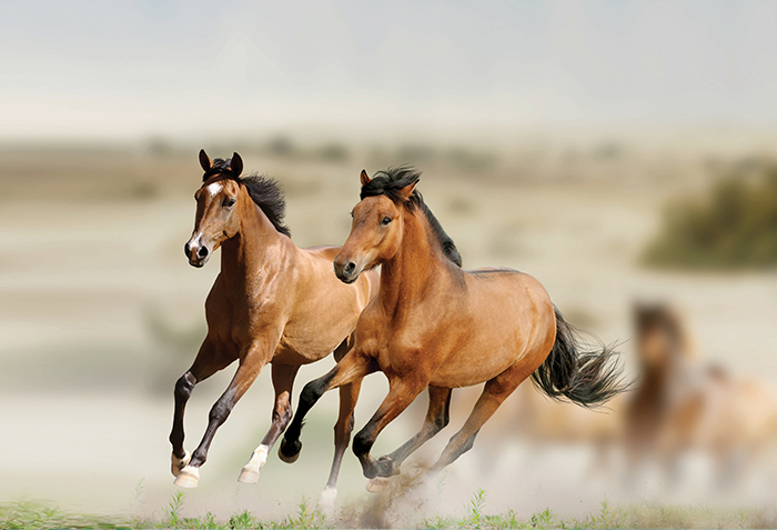 Annuity Litigation Roundup