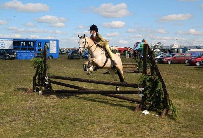 Buyer Of 'Dirty Stopper' Show Jumping Horse Loses Suit