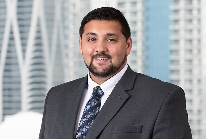 Nader A. Amer Joins Carlton Fields in Miami