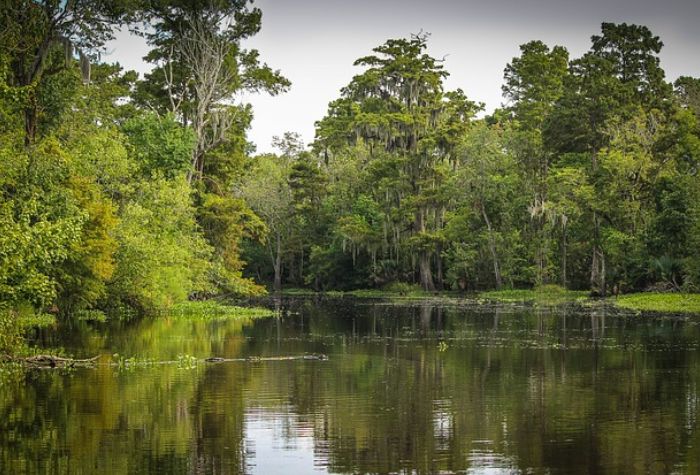 Challenges to Corps Waters Findings Still a Trickle After Ruling