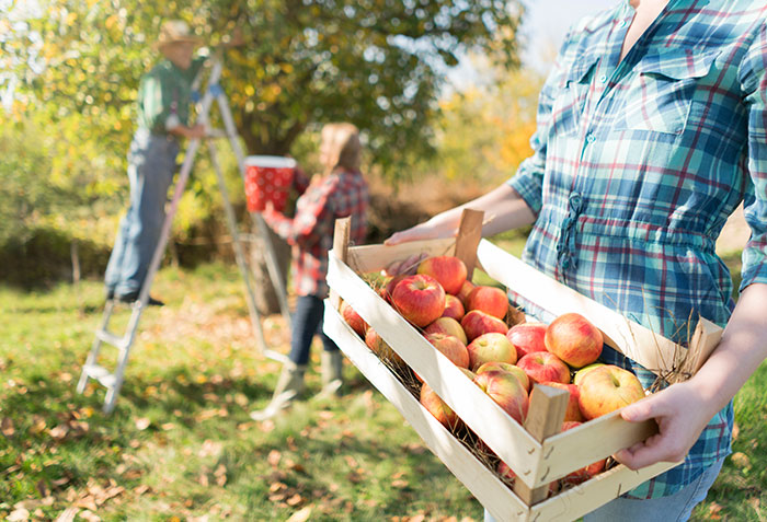 Is It Time to Harvest the NAIC Suitability in Annuity Transactions Model Regulation?