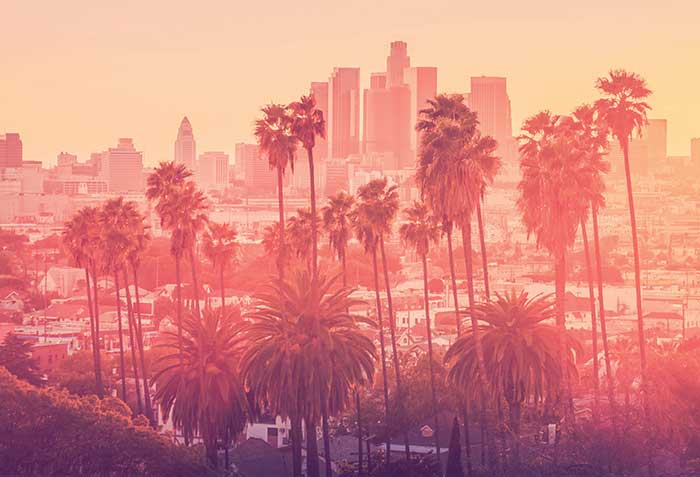 Plaintiffs Survive Standing-Based Challenge to California Senior Notice and Financial Elder Abuse Claims