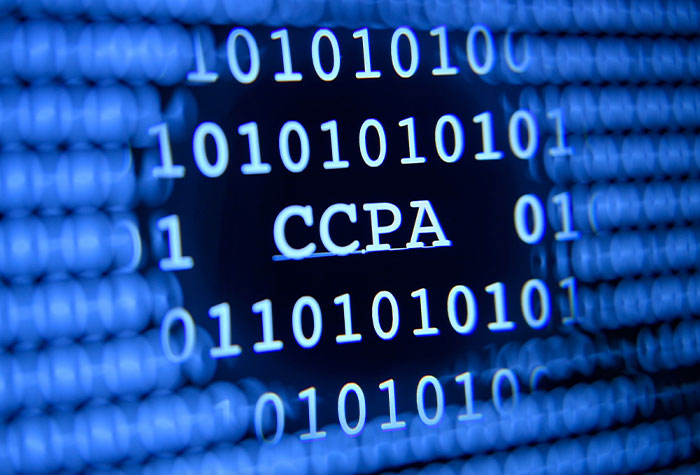 The California Consumer Privacy Act: Are You Ready?