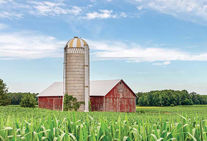 Converting Mutual Funds to ETFs: A Fertile Field?