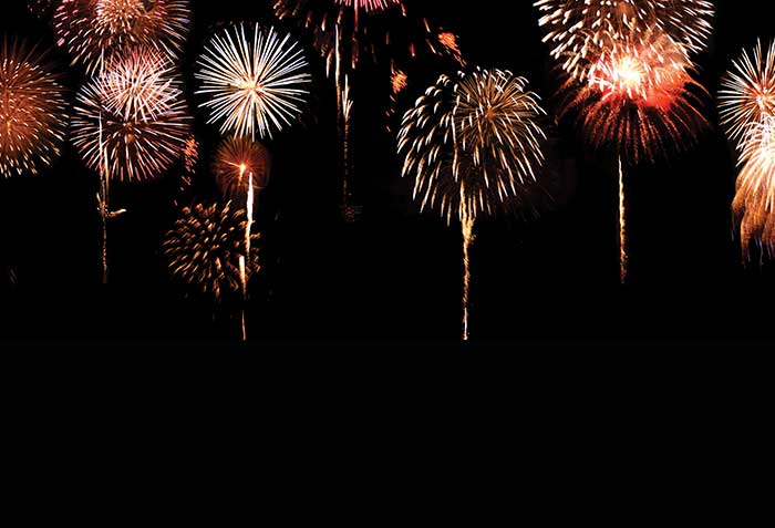 NAIC Life Insurance and Annuities (A) Committee Ends 2019 With a Big Bang