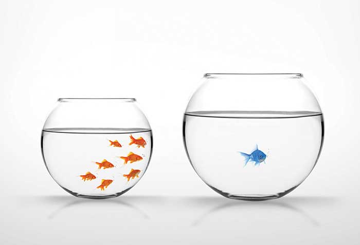 FINRA Public Offering Proposal Excludes All Insurance Contracts