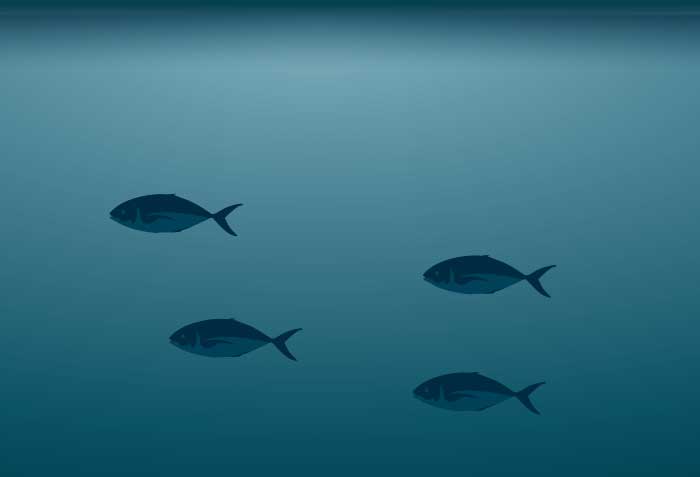 Recent Developments in Life Insurance Litigation