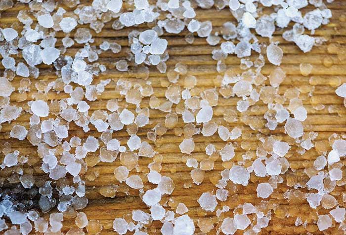 A Hailstorm for Private Fund Advisers? SEC Clouds the Horizon