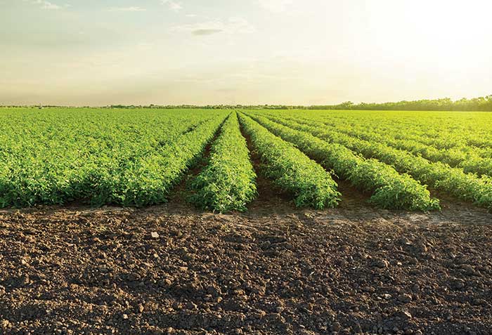 Continued SEC/FINRA “Complex” Product Concerns: Will Good Regulatory Harvest Arrive?