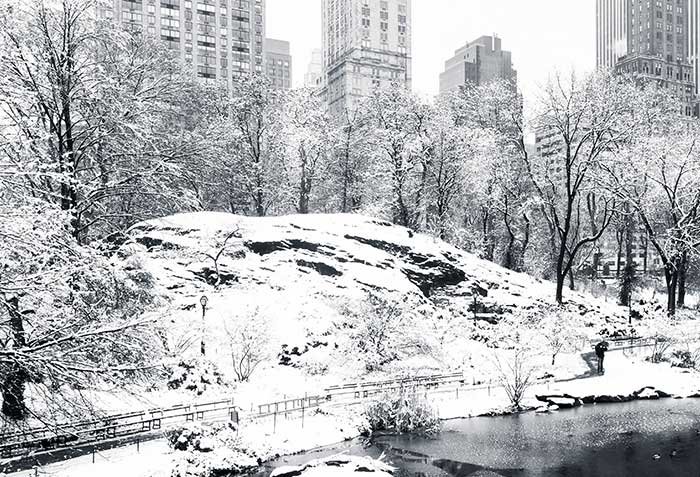 SEC Brings Broker-Dealer Electronic Recordkeeping Rules Out of Deep Freeze
