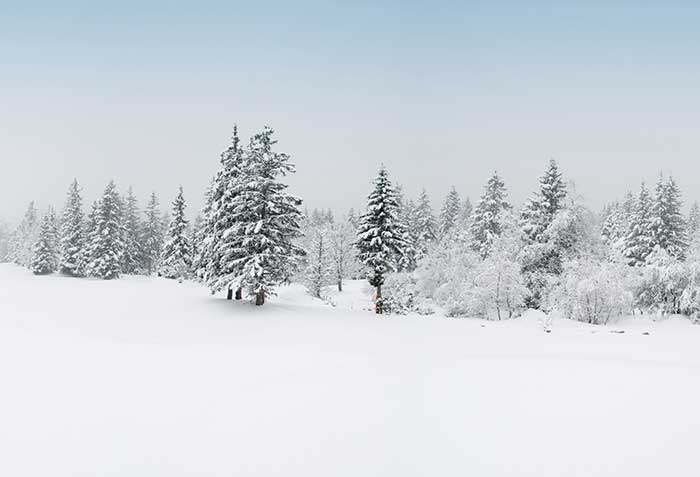 Private Equity in 401(k) Plans: A Holiday Sequel