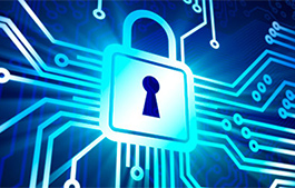 Technical Controls That Protect Data When in Use and Prevent Misuse