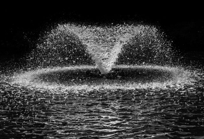 Search Thumbnail for CEOs Inspired by the Fountain of Youth Want to Evolve Tampa Bay's Brand