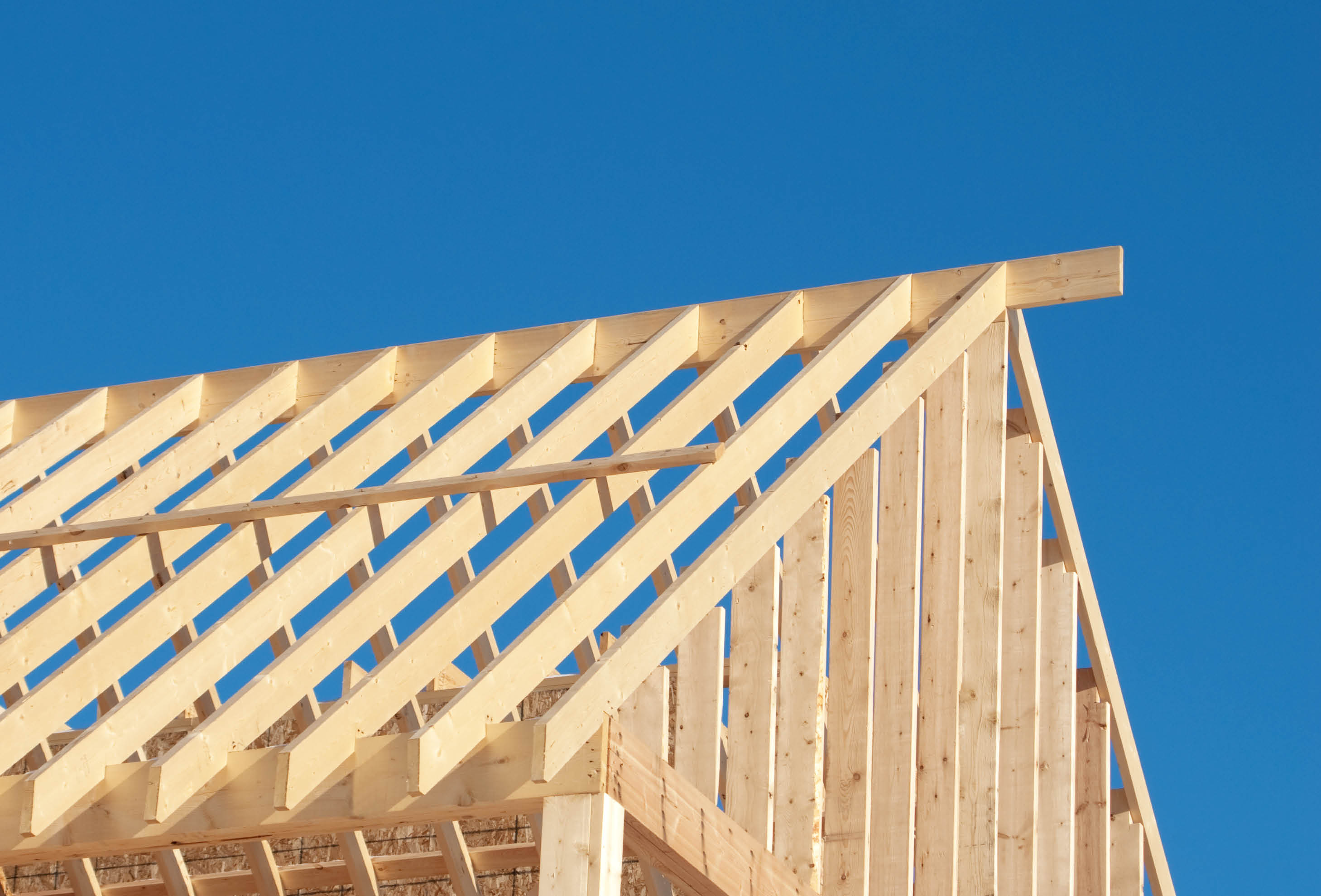 Search Thumbnail for Can You Live Local? Benefits and Challenges of Developing Affordable Housing in Florida