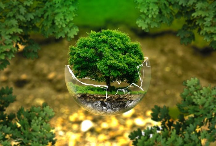 Search Thumbnail for Neil McAliley Authors Article in P3 Bulletin on Environmental Law in Infrastructure Project Approval