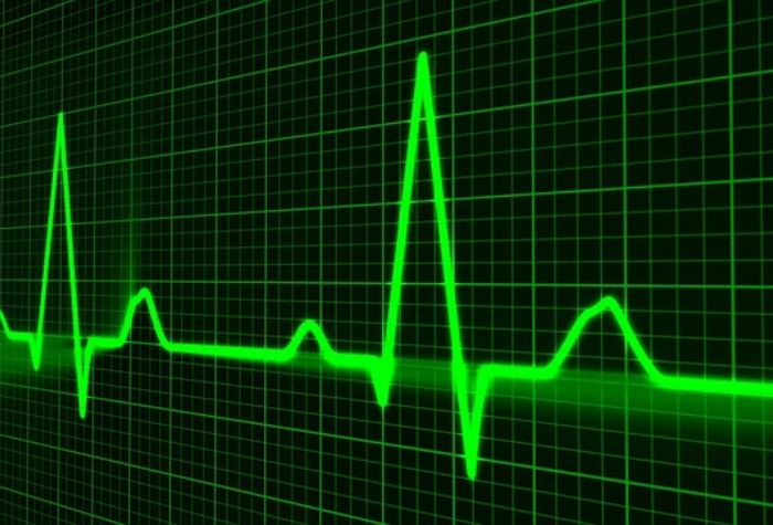 Search Thumbnail for Tampa Law Firm Expands Health Care Practice With a Managed Care Legal Expert from WellCare