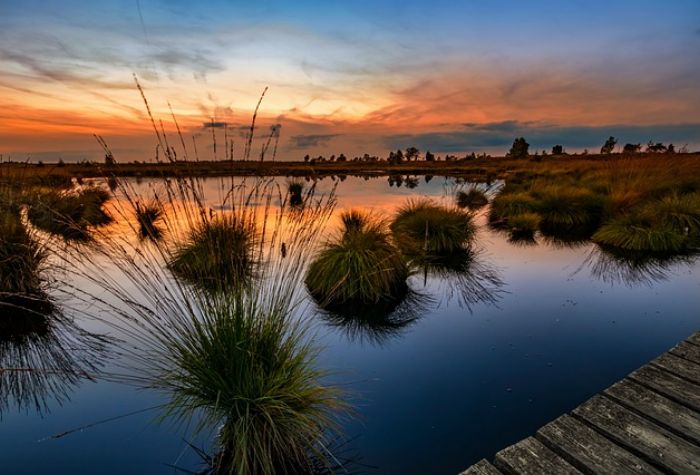 Search Thumbnail for More Wetlands Litigation May Be Coming To A Court Near You
