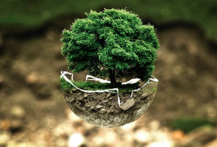Search Thumbnail for Carlton Fields Shareholder Offers Insights Into Environmental Law Developments