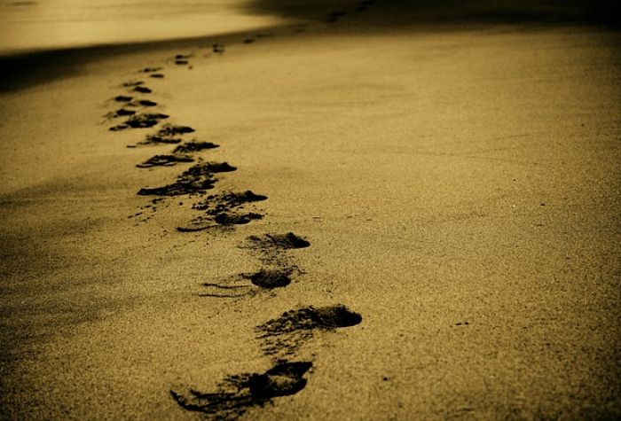 Search Thumbnail for Okaloosa Commissioners Learn More About Beach Sand