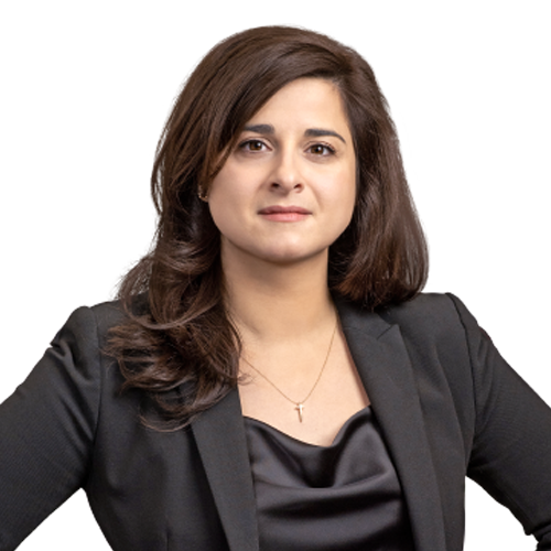 Image of Andrea L. Bonvicino