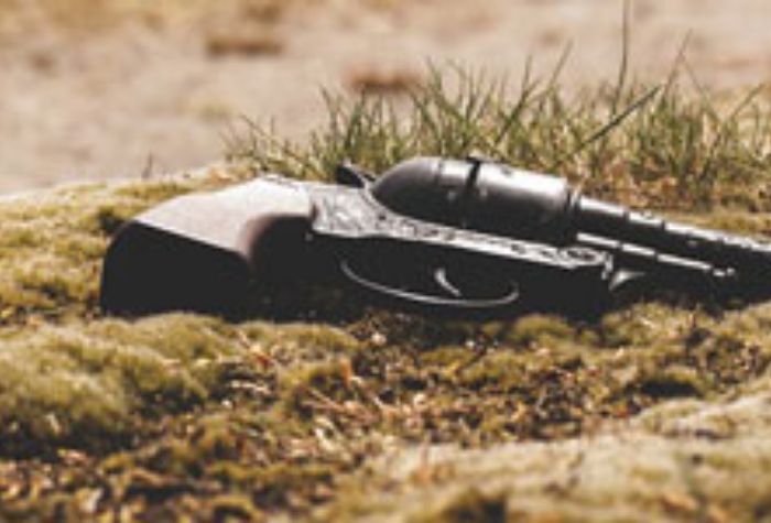 Search Thumbnail for Armed Carriage Laws: Are You Covered?