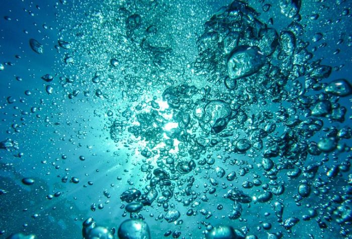 Search Thumbnail for Clean Water Act Challenges and Grain Council Trade Woes