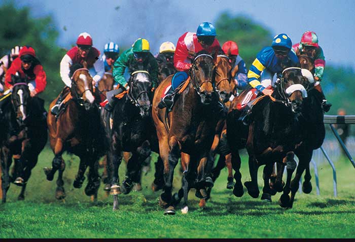 Search Thumbnail for Apeiron at the Jockey Club Developer Wins Key Ruling from Appeals Court