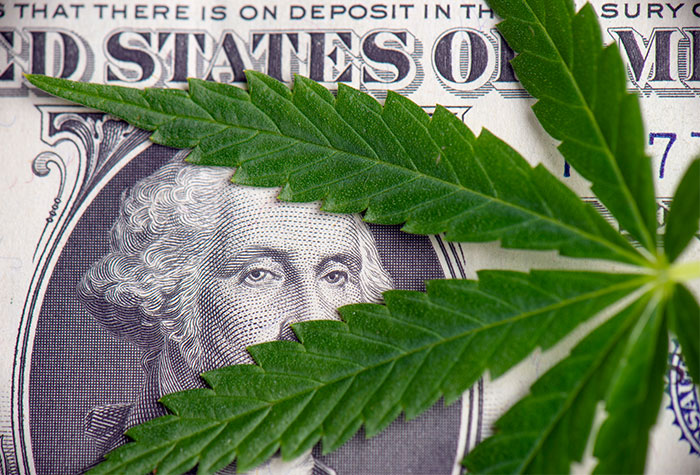Search Thumbnail for Carlton Fields Attorney Gregory Boulos Authors Article About Proper Labeling of Cannabis Products