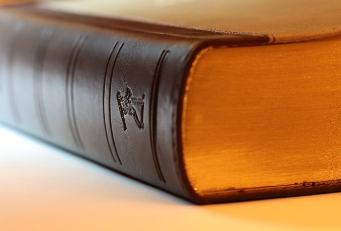 Search Thumbnail for Bruce Berman and Peter Webster Co-Author 2017 Edition of “Berman’s Florida Civil Procedure”